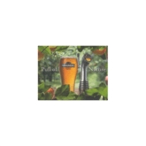 Magners Cider glasbrikker, Nature, 10 stk.